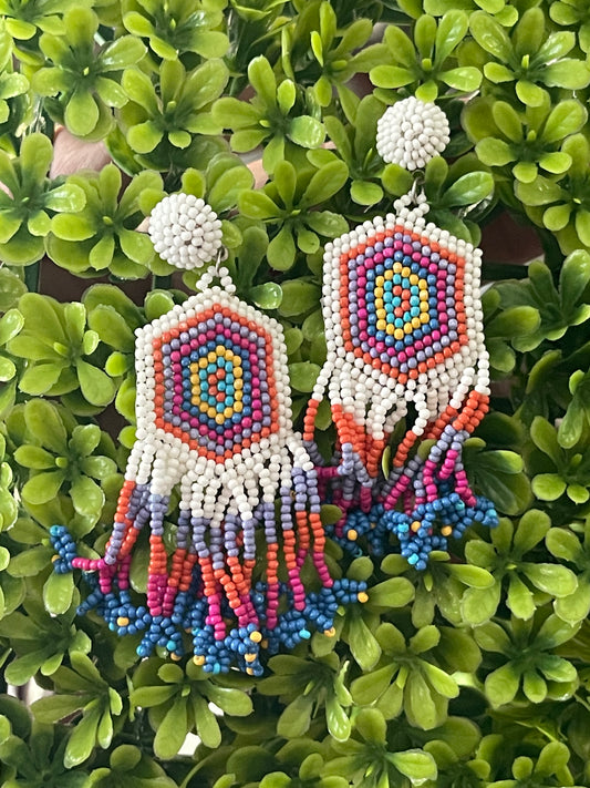 Seed beaded bohemian fringe tassel earrings